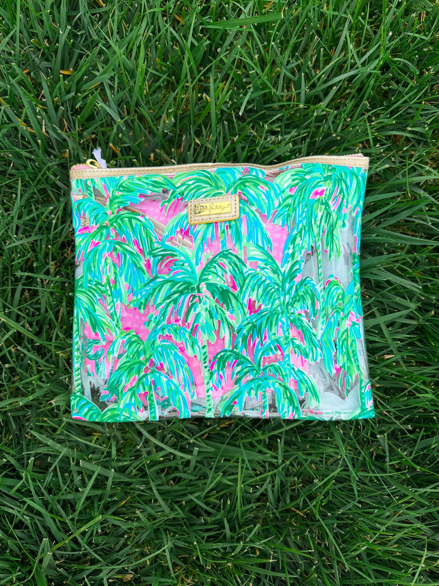 Pool Day Pouch🌴🩵
