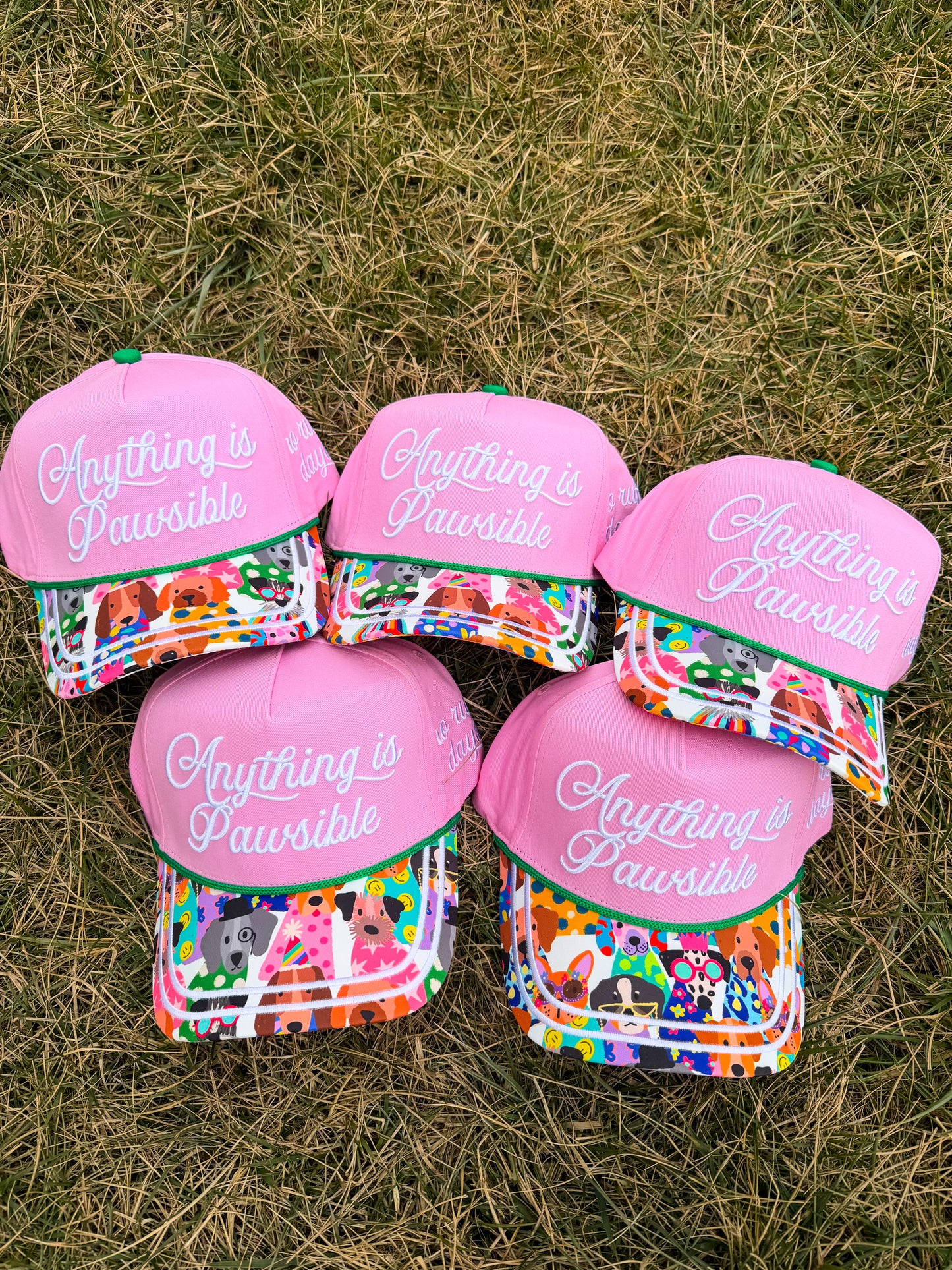 Anything is Pawsible Trucker Hat